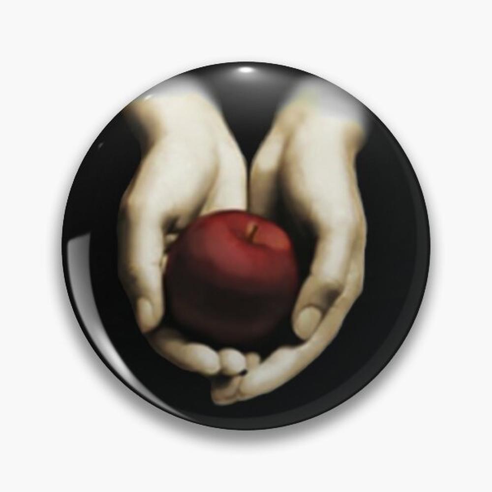 Jewelry Making Journal - twilight book cover Pin Buttons Brooches